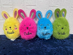 Personalized Easter Bunny, Easter Plush Personalized, Easter Bunny, Easter Goodies, Easter Classroom Favors, Easter Basket Stuffer, Easter